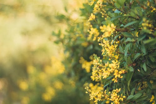 已完結(jié)仙君重生在異世小說溫清夜張慧全文閱讀