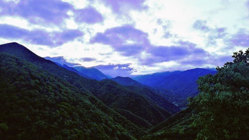 《滿江紅·甲辰歲盤門外寓居過(guò)重午》賞析