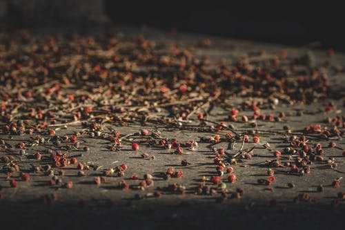 關(guān)于高中周記青春勵(lì)志錦集10篇