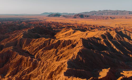 《廢都》的讀后感大全 《廢都》的讀后感大全