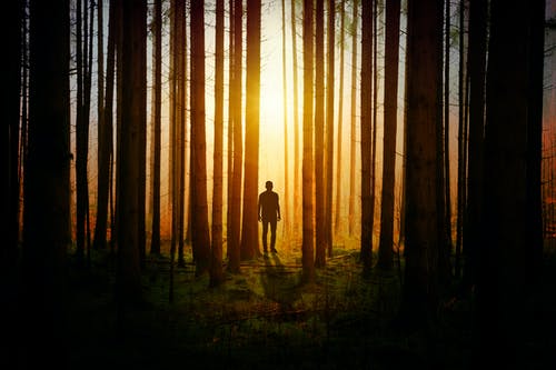 《智永與“退筆?！薄肺难晕募白⑨?></p>
            <div   id=