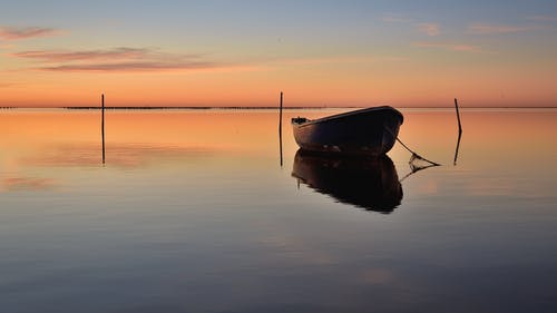 爽文都市逍遙小神婿小說(shuō)李敖蘇欣然全文閱讀