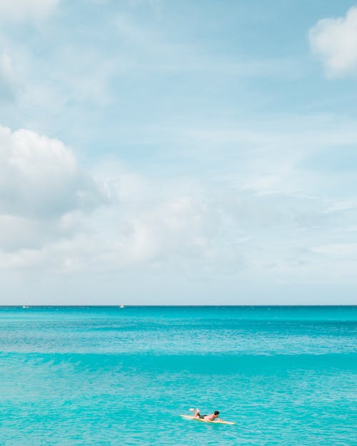 2021年有關(guān)優(yōu)美文藝句子匯總80條