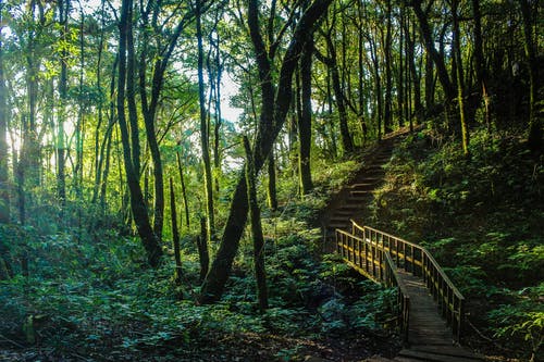 《無題:一切都不會(huì)過去》詩詞鑒賞