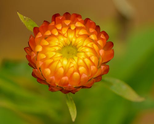 小學(xué)一年級(jí)日記集錦六篇