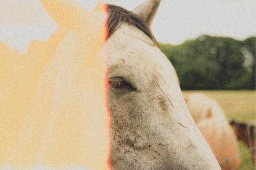 爽文醫(yī)神降世小說張尋北趙敏敏章節(jié)閱讀