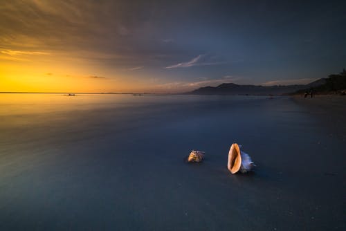 2020年表達(dá)立春快樂(lè)的祝福語(yǔ)39條