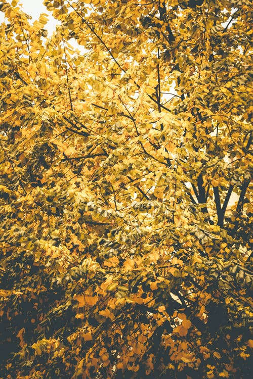 《迷》影評(píng)摘抄