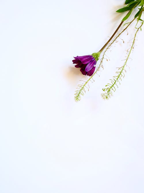 五年級(jí)英語(yǔ)作文we  are  growing  up