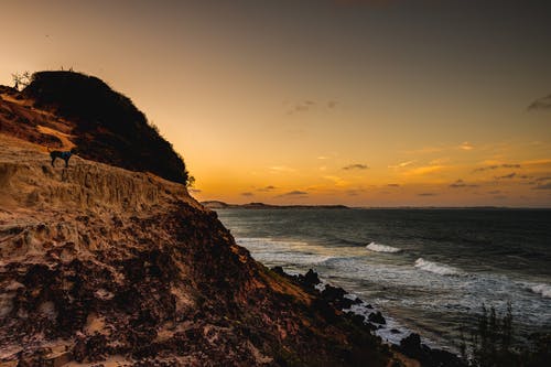 重生都市仙尊歸來小說秦宇葉冉冉全篇閱讀