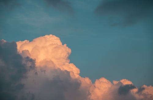 傅爺?shù)男∽孀谟拄[離婚了重生童鹽鹽傅謹(jǐn)小說無彈窗閱讀
