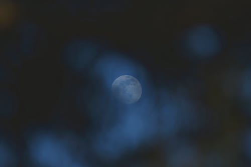 仙婿為帝小說(shuō)無(wú)錯(cuò)版葉羽顏雪大福喵閱讀