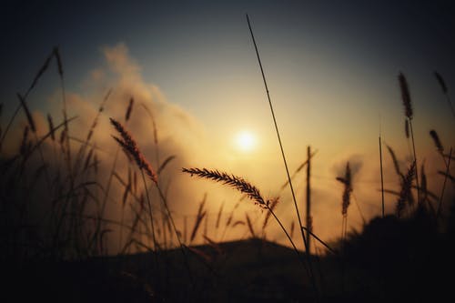 元宵節(jié)溫馨祝福語(yǔ)（精選50句）