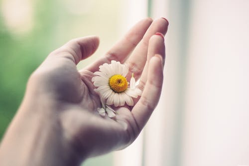 對(duì)老師的感謝的詩句