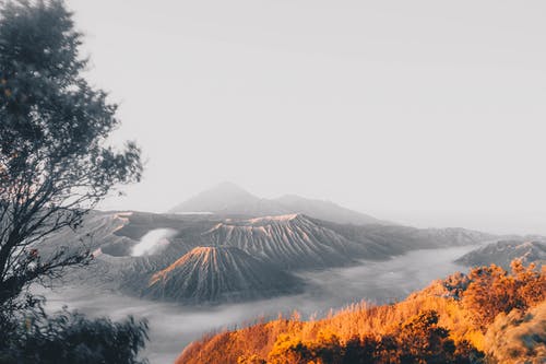 五年級寫人作文母親的關愛