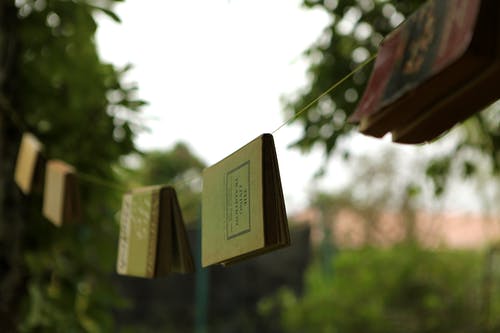 推薦醫(yī)道賢婿小說(shuō)趙福趙玉完整版閱讀