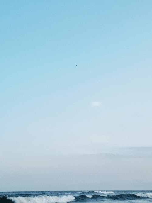爽文戰(zhàn)神殿北境龍王小說(shuō)葉辰江凝音云云在線閱讀