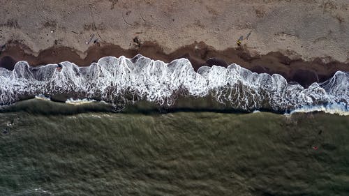 玄幻重生開局變成野兔陳宇琳娜小說(shuō)章節(jié)閱讀