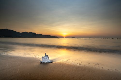 時(shí)間會(huì)告訴你，誰(shuí)是真正的朋友