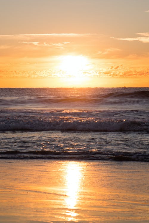 【精選】國家勵志獎學(xué)金申請書4篇