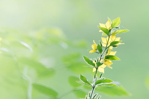 廢墟和荒原上的人們小說(shuō)主角葉修章節(jié)閱讀