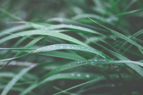 逆襲玩世醫(yī)狂小說(shuō)陳二蛋楊雪柳無(wú)廣告閱讀