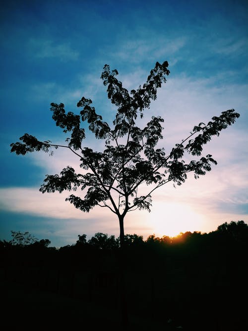 假如幸福來臨經(jīng)典臺詞
