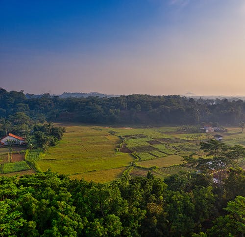 姜芷沐堇年虐戀小說渺小卑微的愛章節(jié)閱讀 姜芷沐堇年虐戀小說渺小卑微的愛章節(jié)閱讀