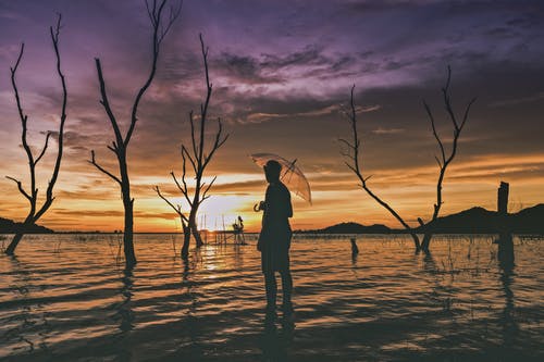 愛(ài)情是寂寥人生中的一場(chǎng)盛宴人生哲理