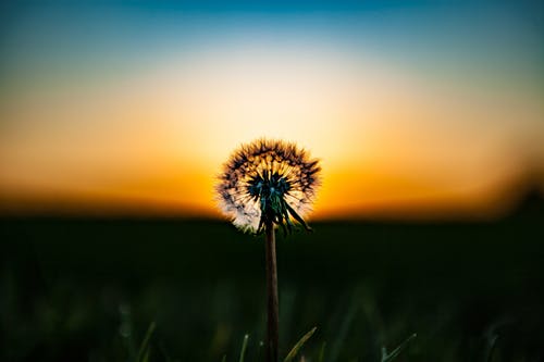 穿越當(dāng)昏君開局魏忠賢是萌妹小說(shuō)主角夏其唐在線閱讀