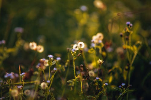 溫馨驚蟄祝福語大合集24條