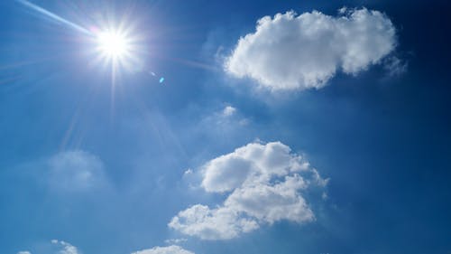 我的寵物太爭氣自己進(jìn)化成妖獸了小說秦天明在線閱讀