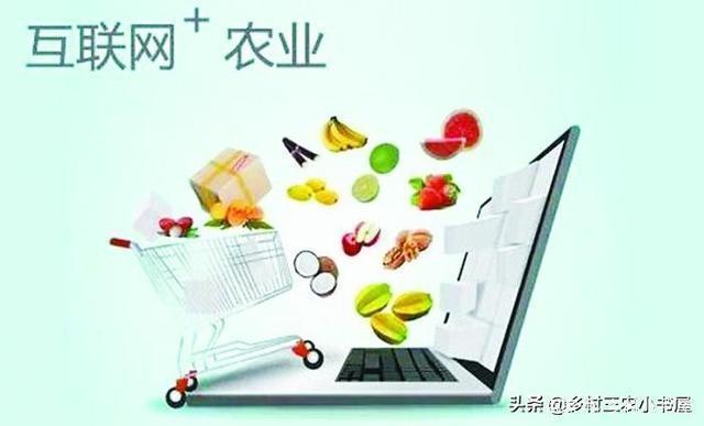 農(nóng)村電商創(chuàng)業(yè)典型案例？