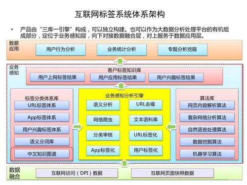 學(xué)習(xí)電子商務(wù)需要學(xué)習(xí)哪些軟件，請?jiān)敿?xì)說一下