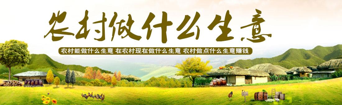現(xiàn)在農(nóng)村自主創(chuàng)業(yè)做什么好？