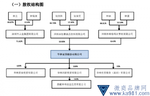 （華林證券股權(quán)結(jié)構(gòu)。圖片來(lái)源：華林證券招股書）