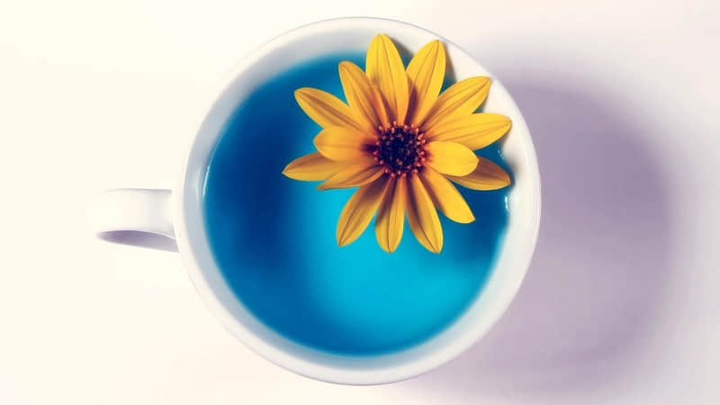 不想再偽裝自己的經(jīng)典說說(56條) 不想再偽裝自己的經(jīng)典說說(56條)