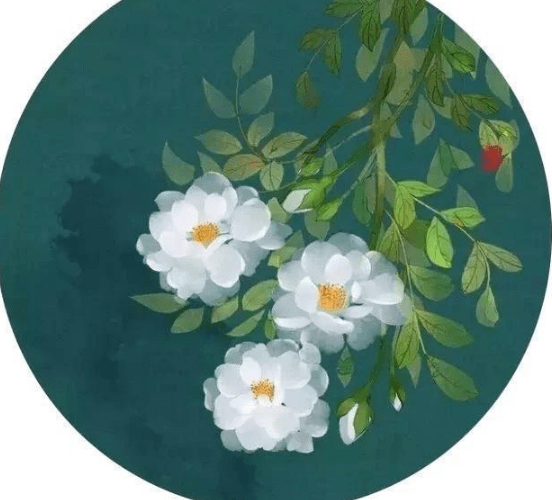 充滿哲理一句話的經(jīng)典說說（67條）