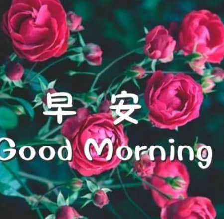 適合發(fā)空間的說(shuō)說(shuō) 很經(jīng)典的句子(85條) 適合發(fā)空間的說(shuō)說(shuō) 很經(jīng)典的句子(85條)