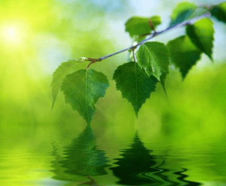 讓人忍不住點贊的經(jīng)典說說（65條）