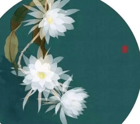 點贊超高霸氣的經(jīng)典說說（45條）