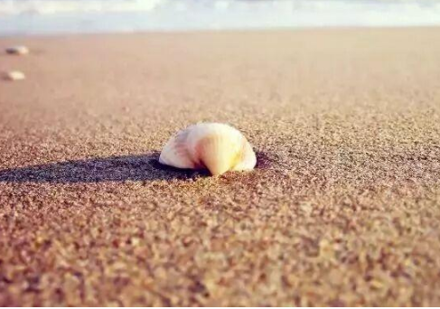 現(xiàn)實(shí)扎心的經(jīng)典說說（48條）