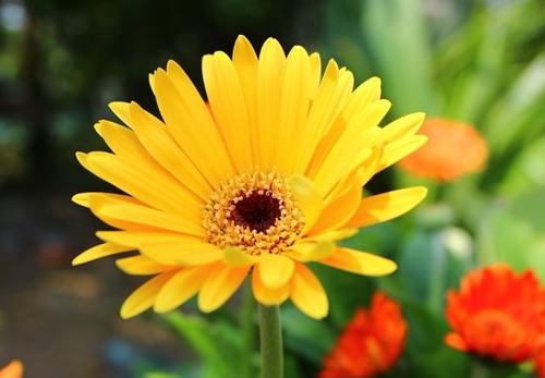 微信很火很流行的經(jīng)典說說（51條）