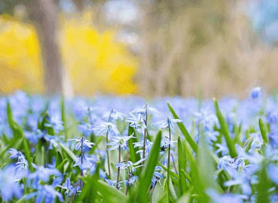 微信說說經(jīng)典句子大全 非主流說說超拽（59條）