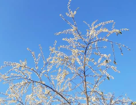 有哲理內(nèi)涵的經(jīng)典說(shuō)說(shuō)（47條）