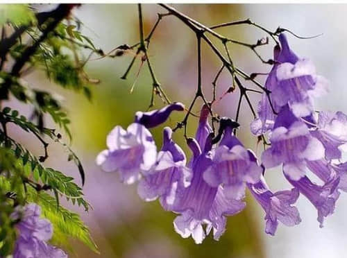 關(guān)于成長(zhǎng)走心的經(jīng)典說說（53條）