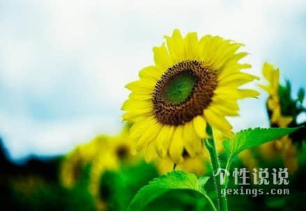 生活現(xiàn)實(shí)有哲理的經(jīng)典說(shuō)說(shuō)（43條）