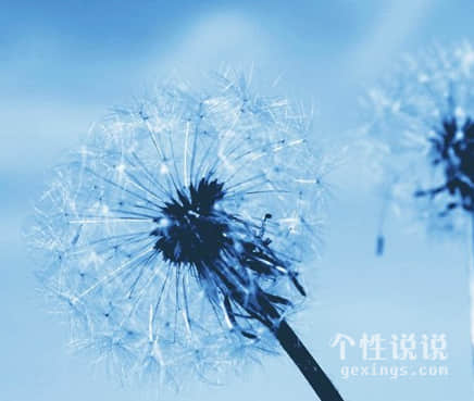 微信人生現(xiàn)實的經(jīng)典說說（50條）