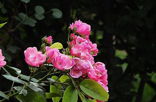 生活現(xiàn)實(shí)扎心的經(jīng)典說說（54條）
