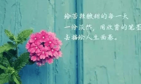 人生感悟句子經(jīng)典說說分享：哭給自己聽，笑給別人看，這就是所謂的人生